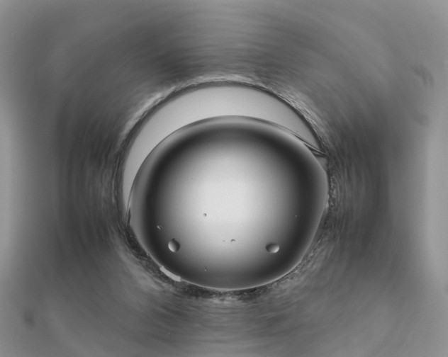 X0000112070112200908111441