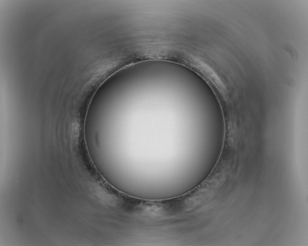 X0000112070113200908111441