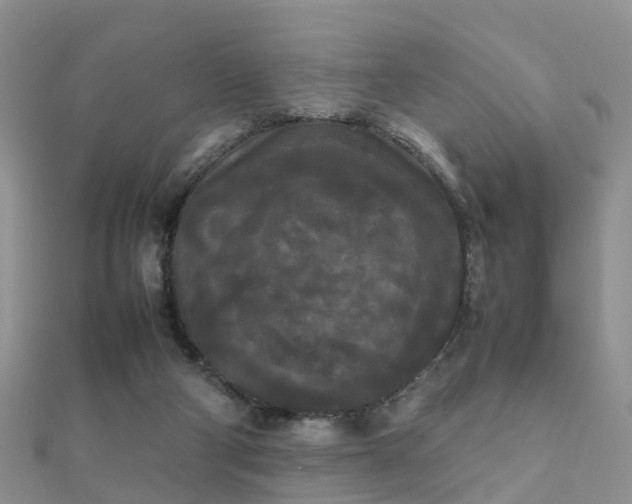 X0000112070114200908111441