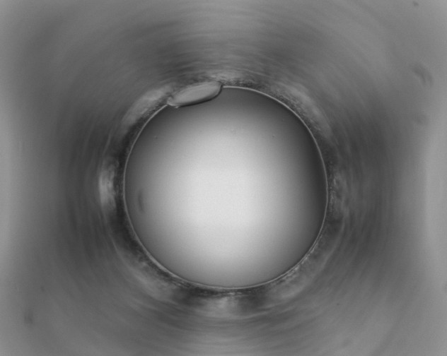 X0000112070116200908111441