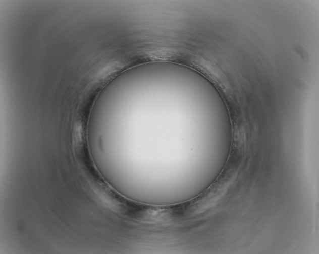 X0000112070117200908111441