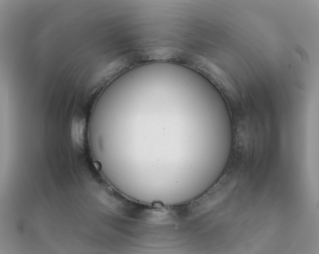 X0000112070118200908111441