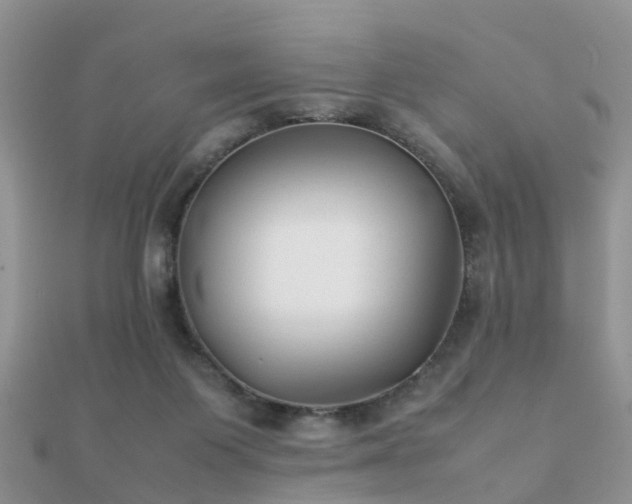 X0000112070119200908111441