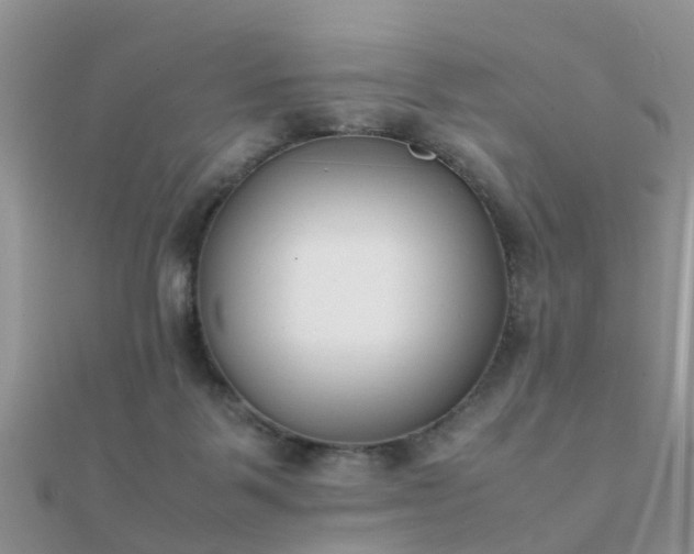 X0000112070123200908111441