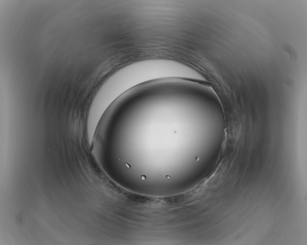 X0000112070124200908111441