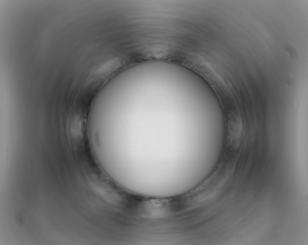 X0000112070126200908111441