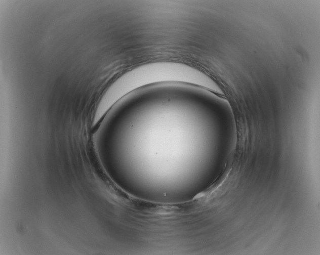 X0000112070128200908111441