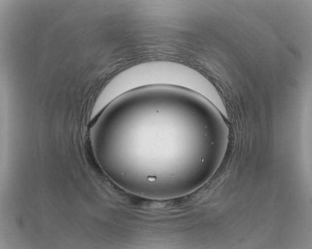 X0000112070129200908111441