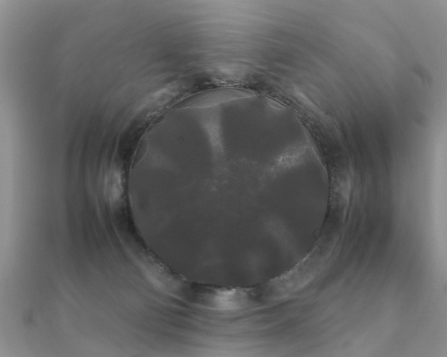 X0000112070130200908111441