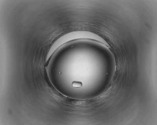 X0000112070132200908111441