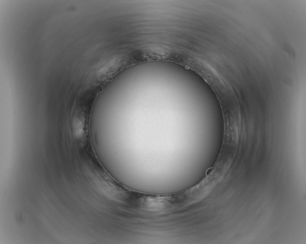 X0000112070134200908111441