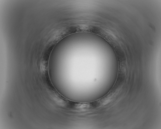 X0000112070135200908111441