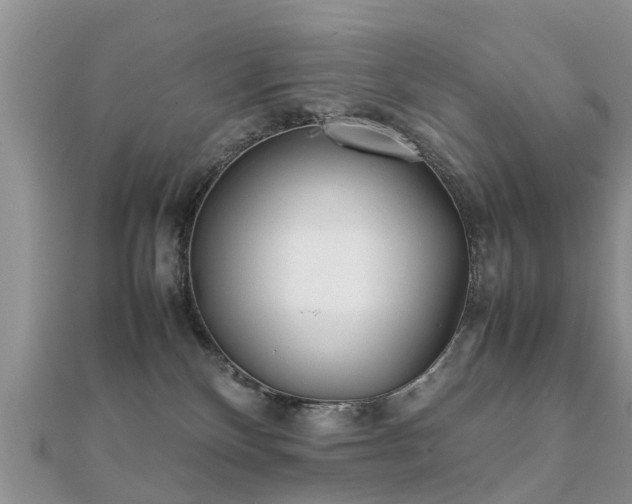 X0000112070136200908111441