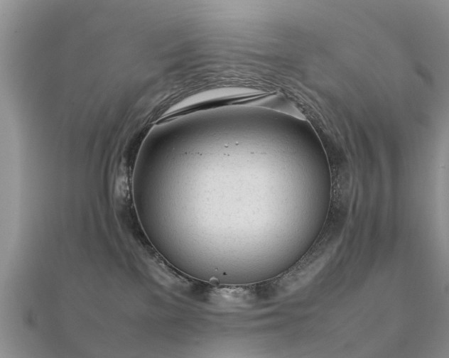 X0000112070137200908111441