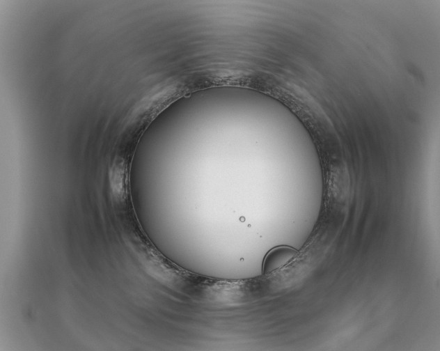 X0000112070138200908111441