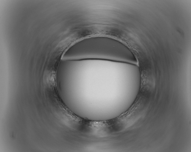 X0000112070141200908111441