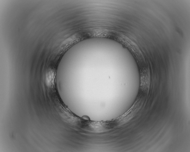 X0000112070142200908111441