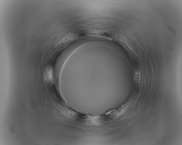 X0000112070143200908111441