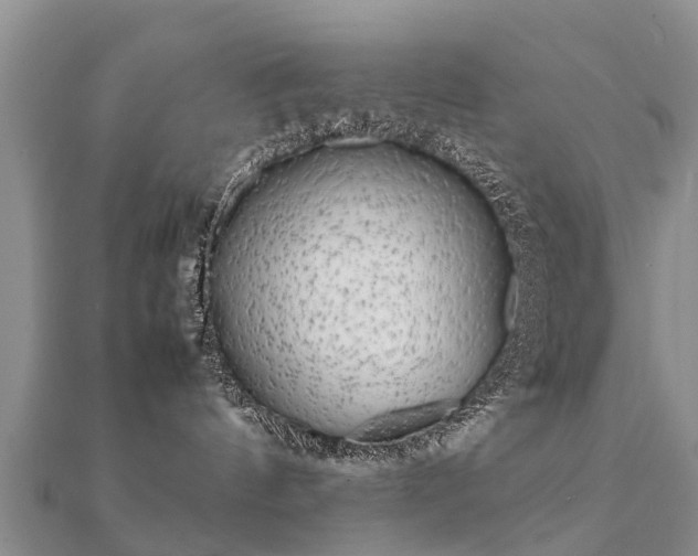 X0000112070144200908111441