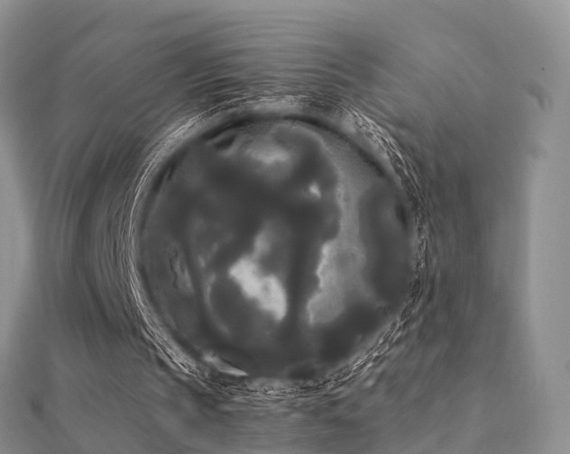 X0000112070145200908111440