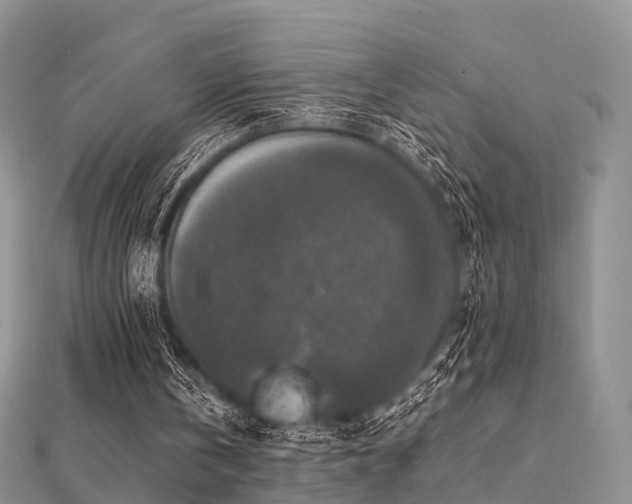 X0000112070146200908111440