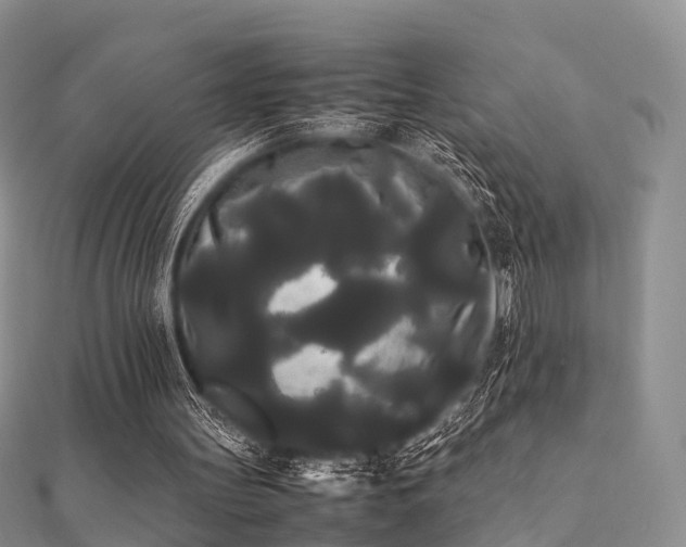 X0000112070147200908111440