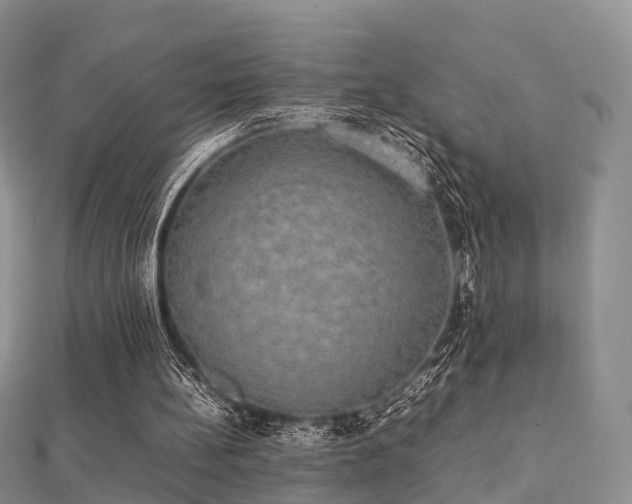 X0000112070148200908111440