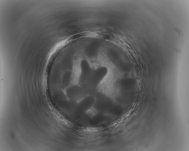 X0000112070149200908111441