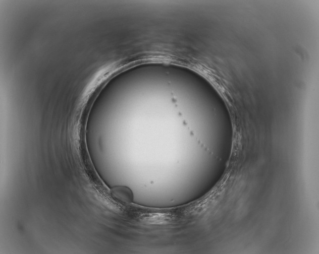 X0000112070151200908111441