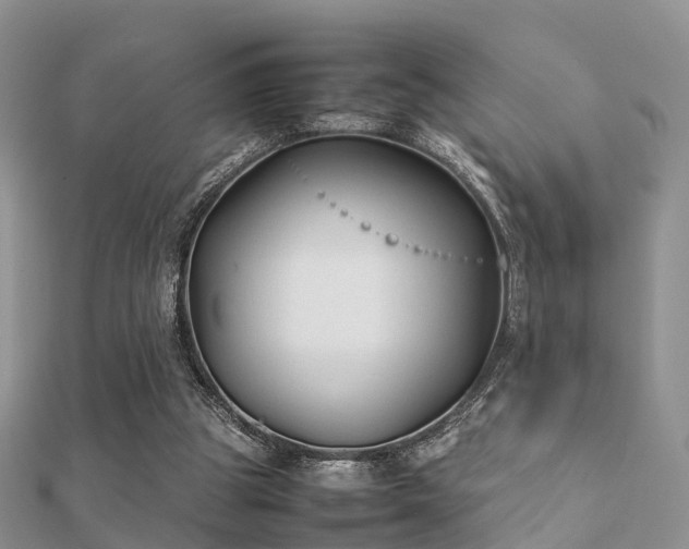 X0000112070153200908111441