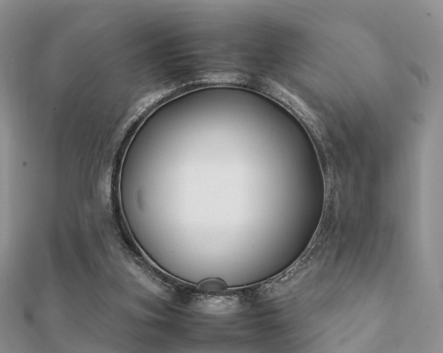 X0000112070155200908111441