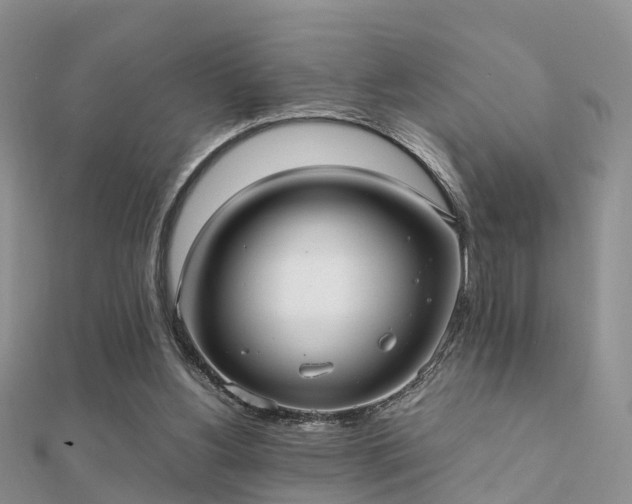 X0000112070156200908111441