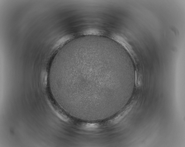 X0000112070157200908111441