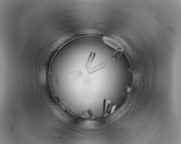 X0000112070158200908111441