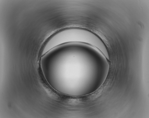 X0000112070160200908111441