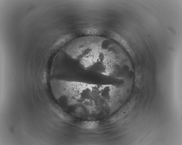 X0000112070161200908111441