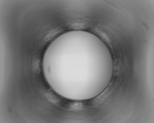 X0000112070162200908111441