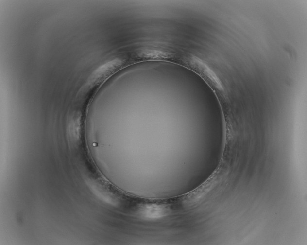 X0000112070163200908111441