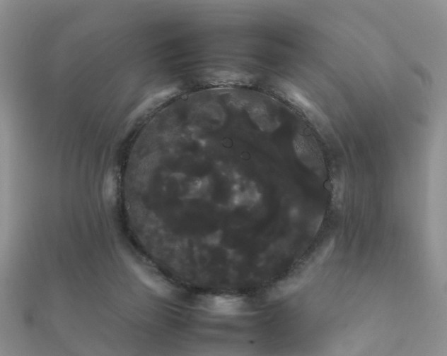 X0000112070165200908111441