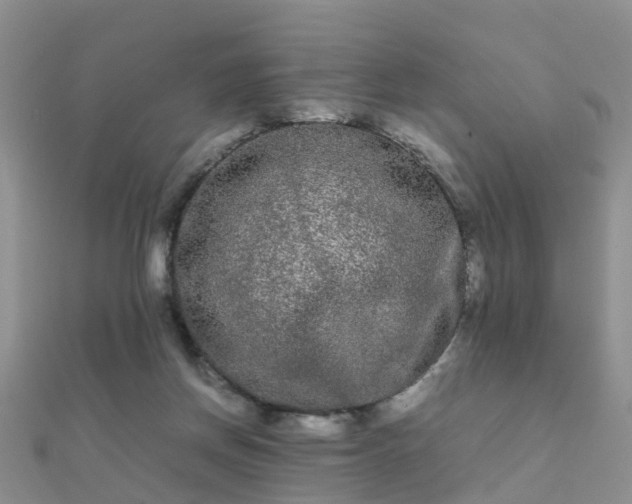 X0000112070166200908111441