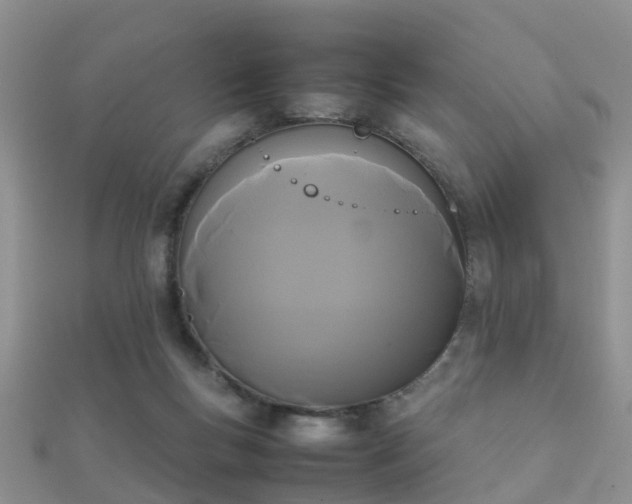 X0000112070167200908111441