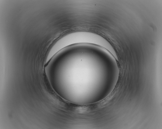 X0000112070168200908111441