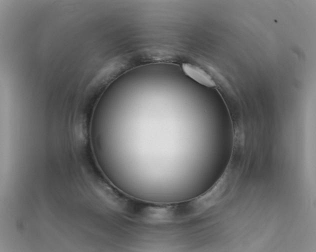 X0000112070170200908111441