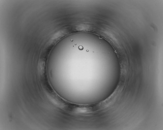 X0000112070171200908111441