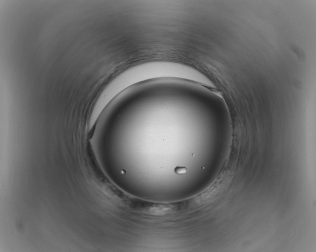 X0000112070172200908111441