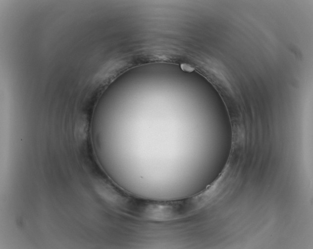 X0000112070174200908111441