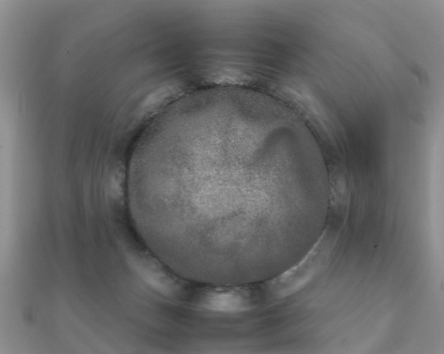 X0000112070175200908111441