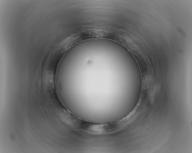 X0000112070178200908111441