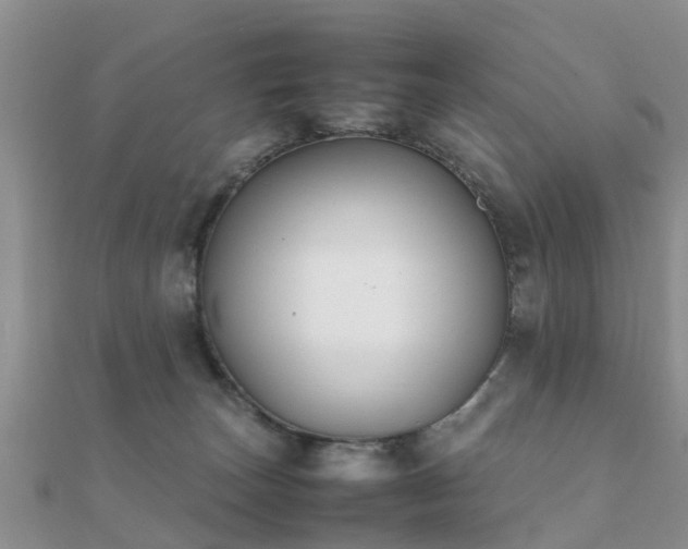 X0000112070179200908111441