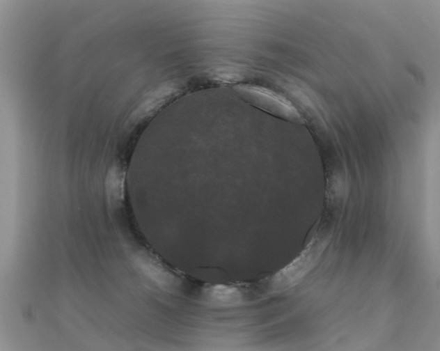 X0000112070180200908111441